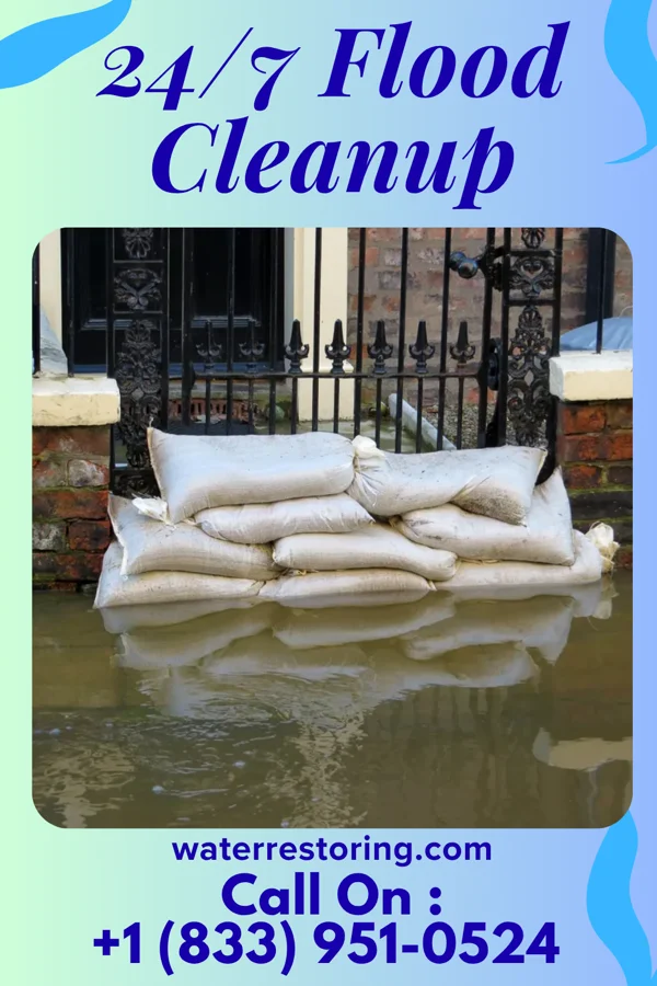 24/7 Flood Cleanup in Munster, IN