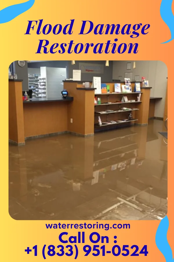 Flood Damage Restoration in Munster, IN