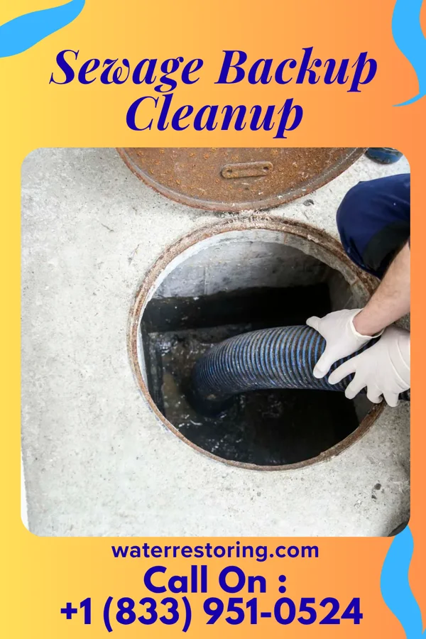 Sewage Backup Cleanup in Munster, IN