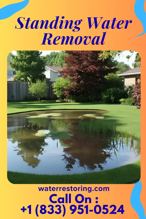 Standing Water Removal in Munster, IN